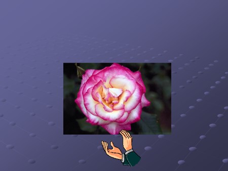 Bài giảng Toán Lớp 11 - Tiết 66: Một vài quy tắc tìm giới hạn vô cực