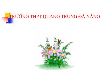 Bài giảng Toán Lớp 12 - Tiết 14, Bài 2: Mặt cầu - Trường THPT Quang Trung