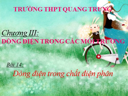 Bài giảng Vật lí Lớp 11 - Bài 14: Dòng điện trong chất điện phân - Trường THPT Quang Trung