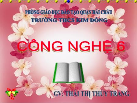 Bài giảng Công nghệ Lớp 6 - Bài 22: Trang trí nhà ở bằng cây cảnh và hoa (Tiết 1) - Thái Thị Thùy Trang