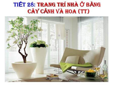 Bài giảng Công nghệ Lớp 6 - Tiết 28: Trang trí nhà ở bằng cây cảnh và hoa (Tiếp theo)