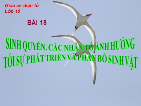 Bài giảng Địa lí Lớp 10 - Bài 18: Sinh quyển. Các nhân tố ảnh hưởng tới sự phát triển và phân bố sinh vật