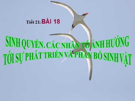 Bài giảng Địa lí Lớp 10 - Tiết 21, Bài 18: Sinh quyền, các nhân tố ảnh hưởng tới sự phát triển và phân bố sinh vật