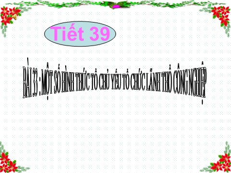 Bài giảng Địa lí Lớp 10 - Tiết 39, Bài 33: Một số hình thức chủ yếu của tổ chức lãnh thổ công nghiệp