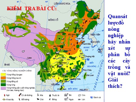 Bài giảng Địa lí Lớp 11 - Bài 10: Thực hành Tìm hiểu sự thay đổi của nền kinh tế Trung Quốc (Tiết 3)