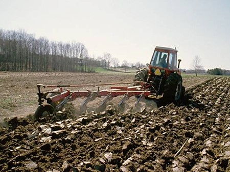 Bài giảng Địa lí Lớp 12 - Tiết 25, Bài 22: Vấn đề phát triển nông nghiệp - Trường THPT TT Quang Trung