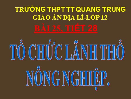 Bài giảng Địa lí Lớp 12 - Tiết 28, Bài 25: Tổ chức lãnh thổ nông nghiệp - Trường THPT Quang Trung
