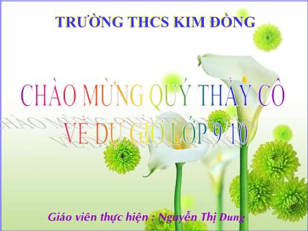Bài giảng Lịch sử Lớp 9 - Tiết 11, Bài 9: Nhật Bản - Nguyễn Thị Dung