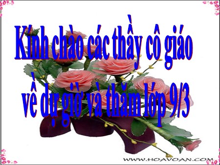 Bài giảng Ngữ văn Lớp 9 - Tiết 105: Các thành phần biệt lập