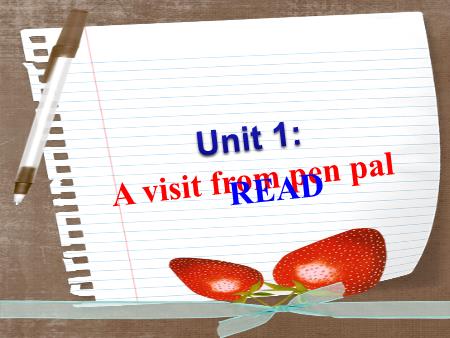 Bài giảng Tiếng Anh Lớp 9 - Unit 1: A visit from pen pal (Read)