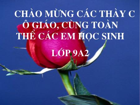 Bài giảng Vật lý Lớp 9 - Tiết 28, Bài 26: Ứng dụng của nam châm